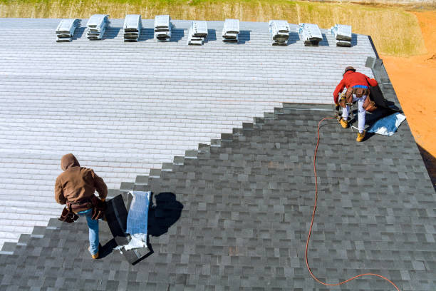 Roof Gutter Cleaning in Carrollton, AL