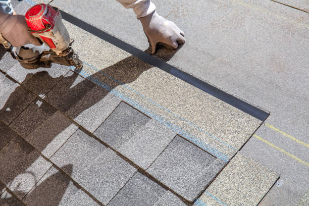 Best Storm Damage Roof Repair  in Carrollton, AL